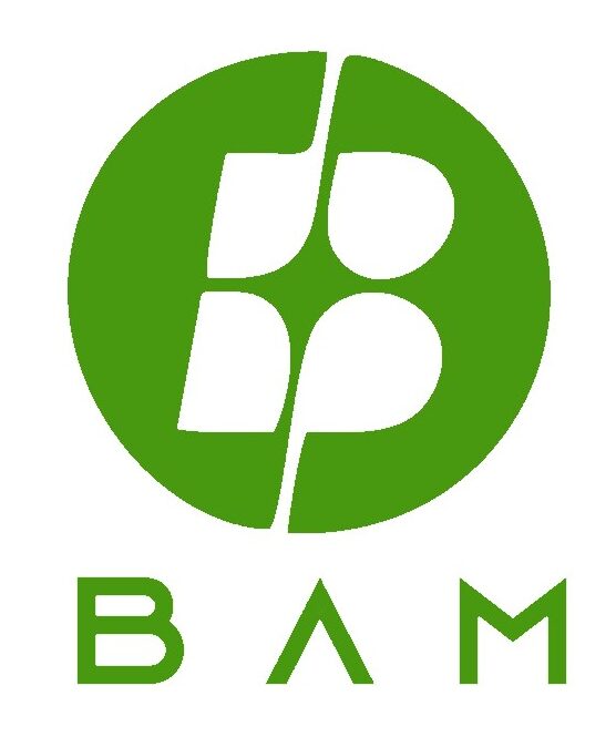 BAM